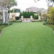 Landscaping Turf